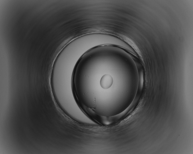 X0000095940946200801111327
