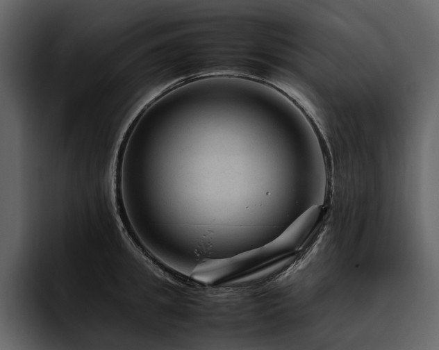 X0000095940949200801111327