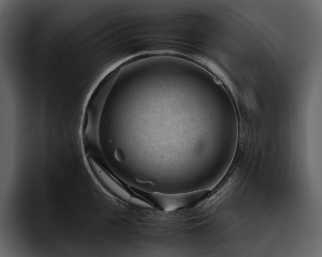 X0000095940951200801111327