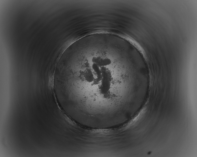 X0000095940953200801111327