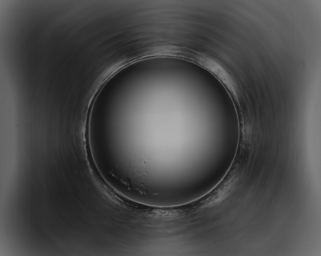 X0000095940954200801111327