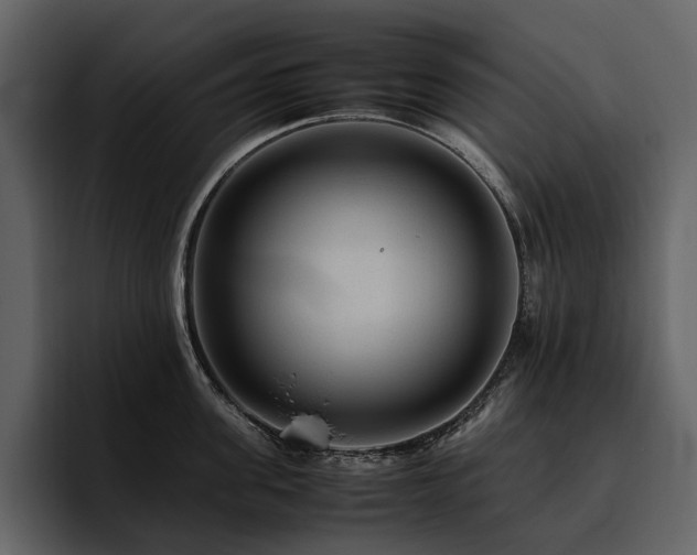 X0000095940955200801111327