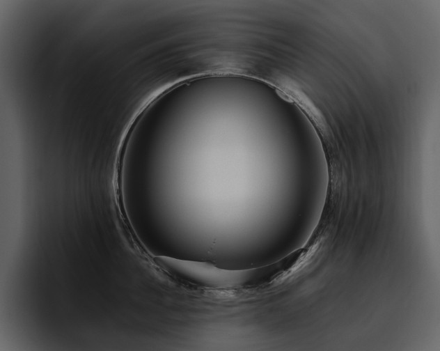 X0000095940956200801111327