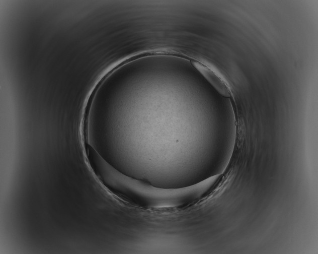 X0000095940959200801111327