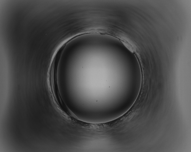 X0000095940960200801111327