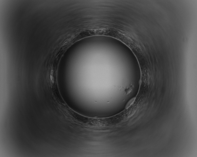 X0000095940962200801111327