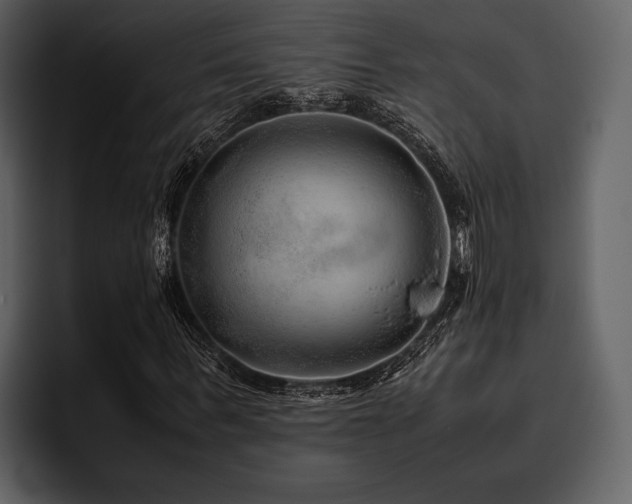X0000095940963200801111327