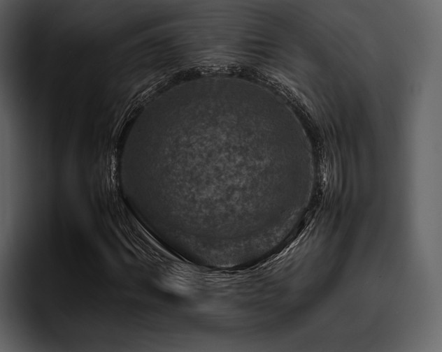X0000095940964200801111327