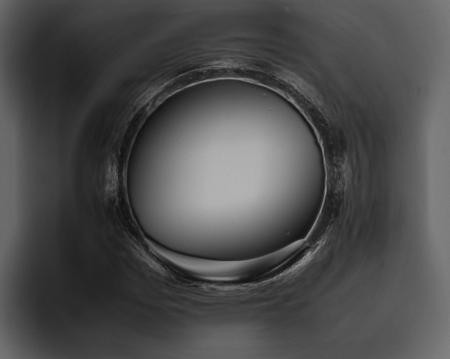 X0000095940969200801111326