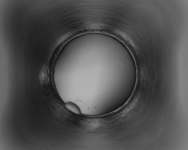 X0000095940970200801111326