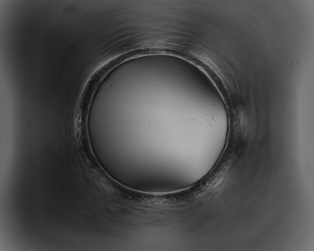 X0000095940971200801111326