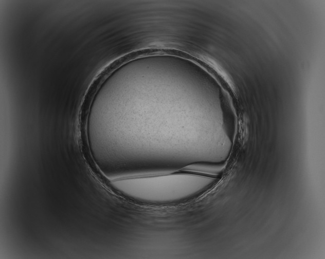 X0000095940972200801111326