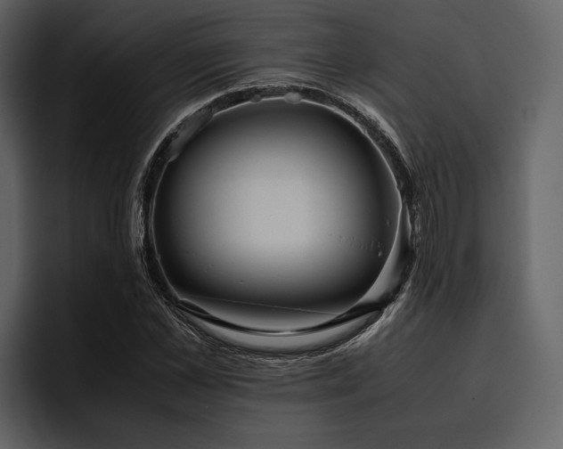 X0000095940973200801111326