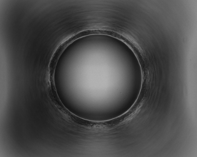 X0000095940974200801111326