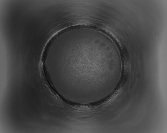 X0000095940975200801111326
