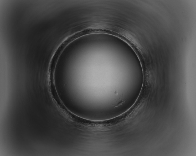 X0000095940976200801111326