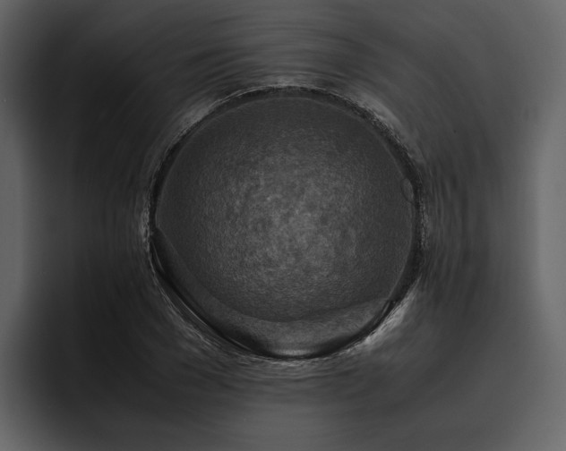 X0000095940977200801111326