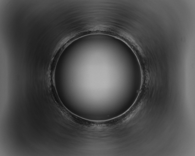 X0000095940978200801111326