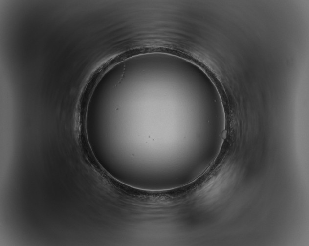 X0000095940979200801111326