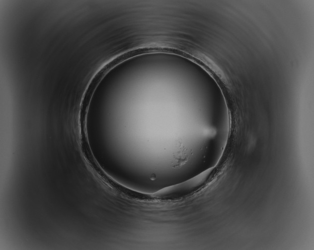 X0000095940980200801111326