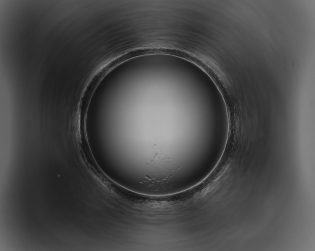 X0000095940982200801111326