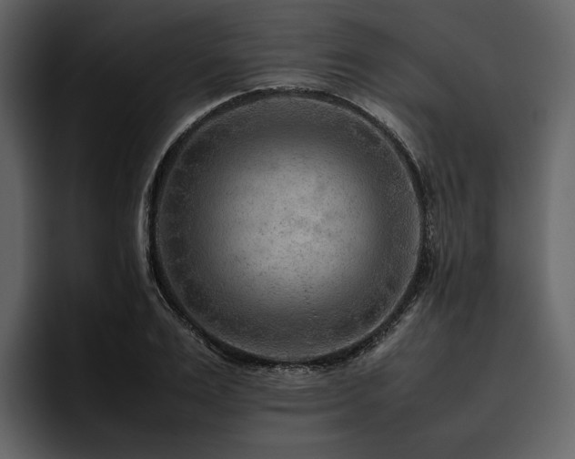 X0000095940983200801111326