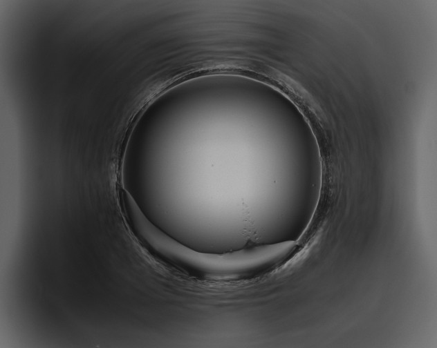 X0000095940985200801111326