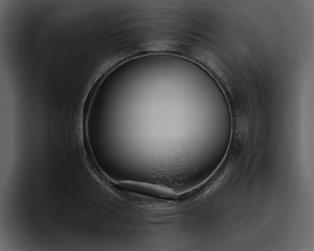 X0000095940986200801111326