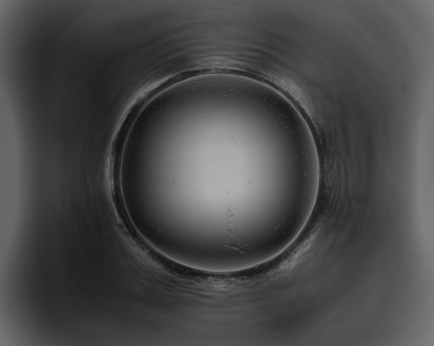 X0000095940987200801111326