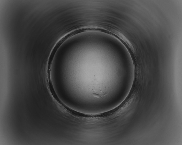 X0000095940988200801111326