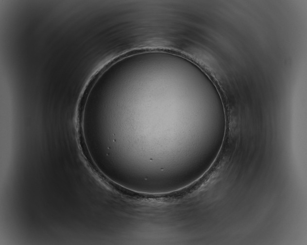 X0000095940990200801111326