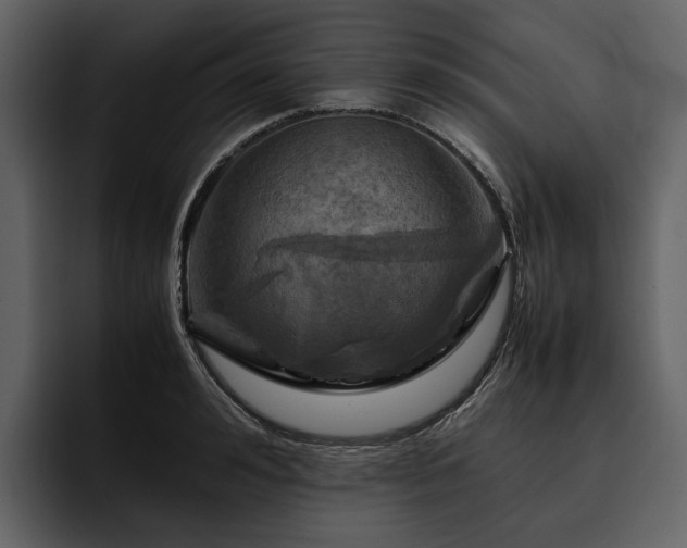 X0000095940992200801111326