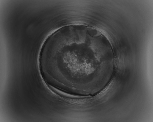 X0000095940995200801111326