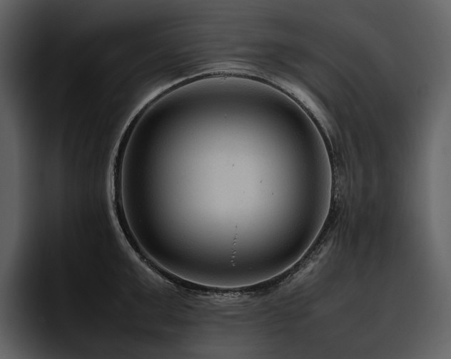 X0000095940999200801111326