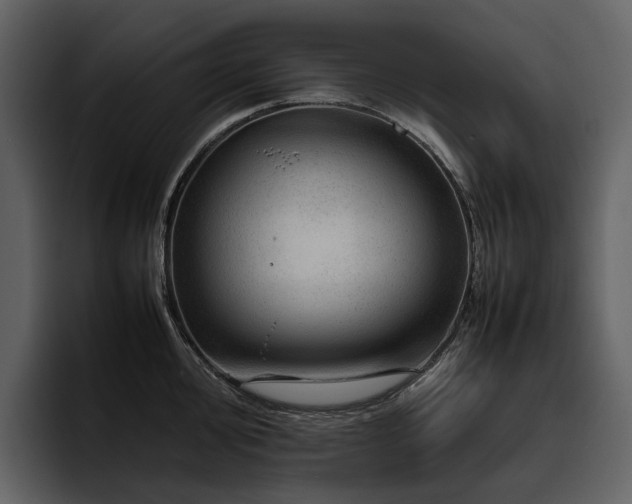 X0000095941000200801111326