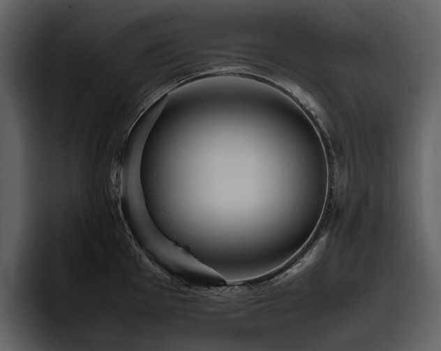 X0000095941001200801111326