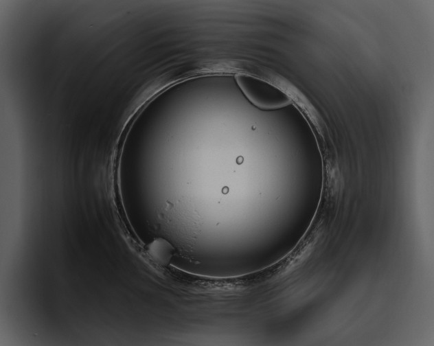 X0000095941002200801111326