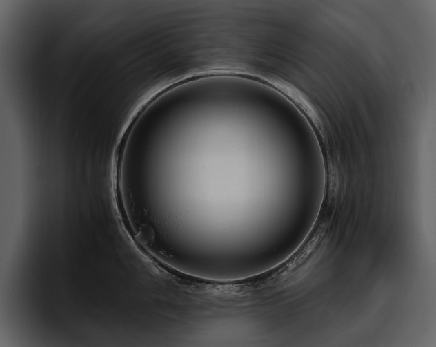 X0000095941006200801111326