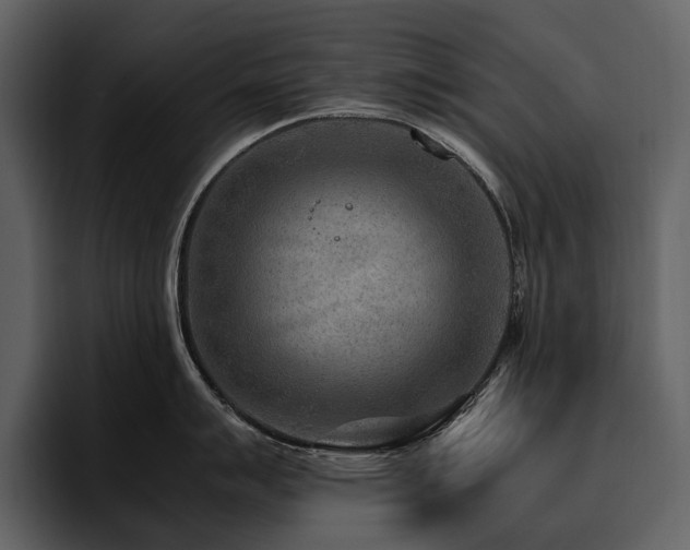 X0000095941007200801111326