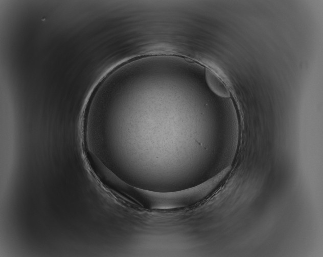 X0000095941008200801111326