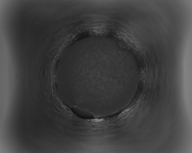 X0000095941009200801111325