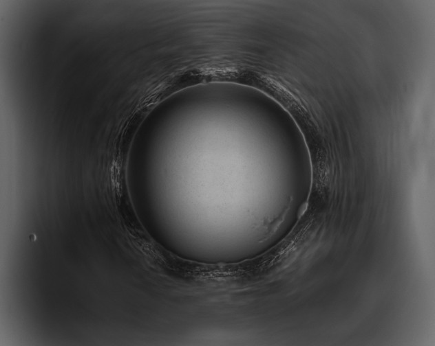 X0000095941010200801111325