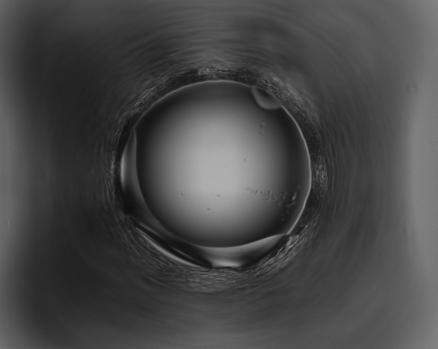 X0000095941012200801111325