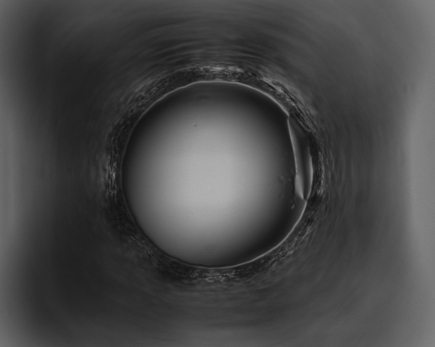 X0000095941013200801111325