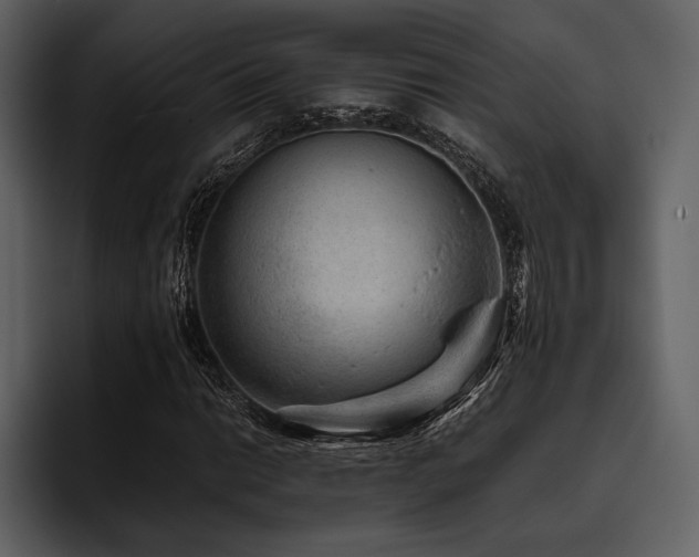 X0000095941014200801111325