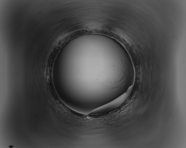 X0000095941016200801111325