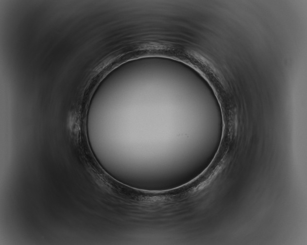 X0000095941017200801111325