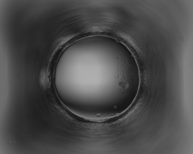 X0000095941018200801111325