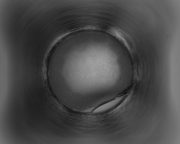 X0000095941019200801111325