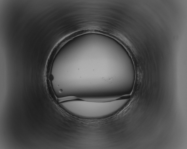 X0000095941020200801111325